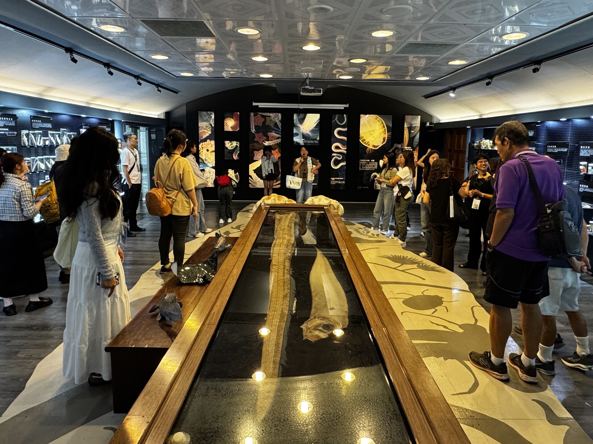 Students observing marine specimens in an exhibition room